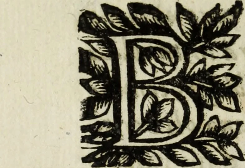 An illustration from Li marmi eruditi, ouero, Lettere sopra alcune antiche inscrizione, 1659, leaf 207