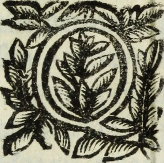 An illustration from Li marmi eruditi, ouero, Lettere sopra alcune antiche inscrizione, 1659, leaf 230