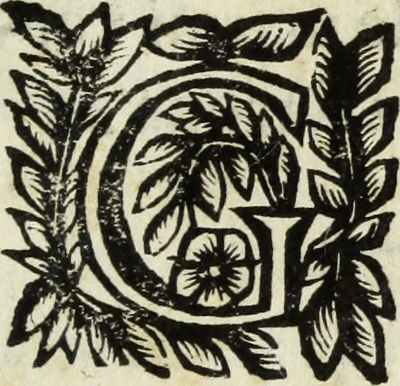 An illustration from Li marmi eruditi, ouero, Lettere sopra alcune antiche inscrizione, 1659, leaf 278