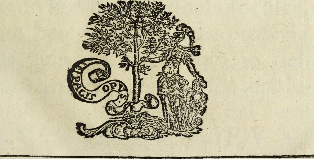 An illustration from Li marmi eruditi, ouero, Lettere sopra alcune antiche inscrizione, 1659, leaf 6