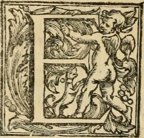 An illustration from L'imperio vendicato, 1690, leaf 289