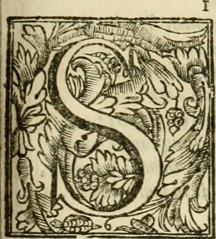 An illustration from L'imperio vendicato, 1690, leaf 300