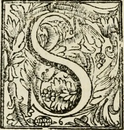 An illustration from L'imperio vendicato, 1690, leaf 343
