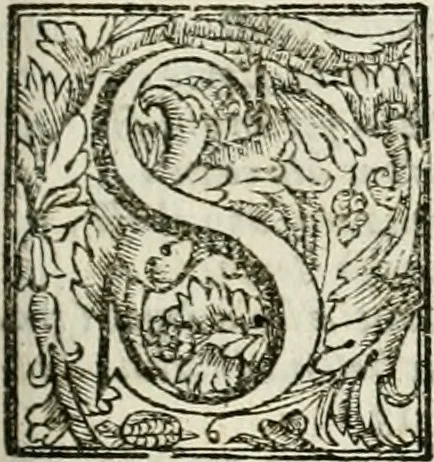 An illustration from L'imperio vendicato, 1690, leaf 50