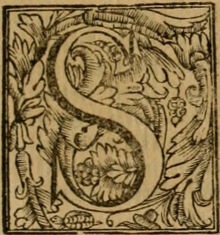 An illustration from L'imperio vendicato, 1679, leaf 242