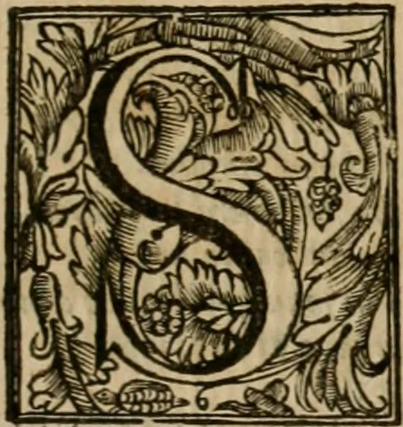 An illustration from L'imperio vendicato, 1679, leaf 252