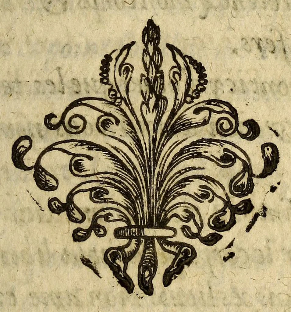 An illustration from L'Indienne amoureuse, ou l'heureux naufrage. : Tragi-comedie., 1636, leaf 119