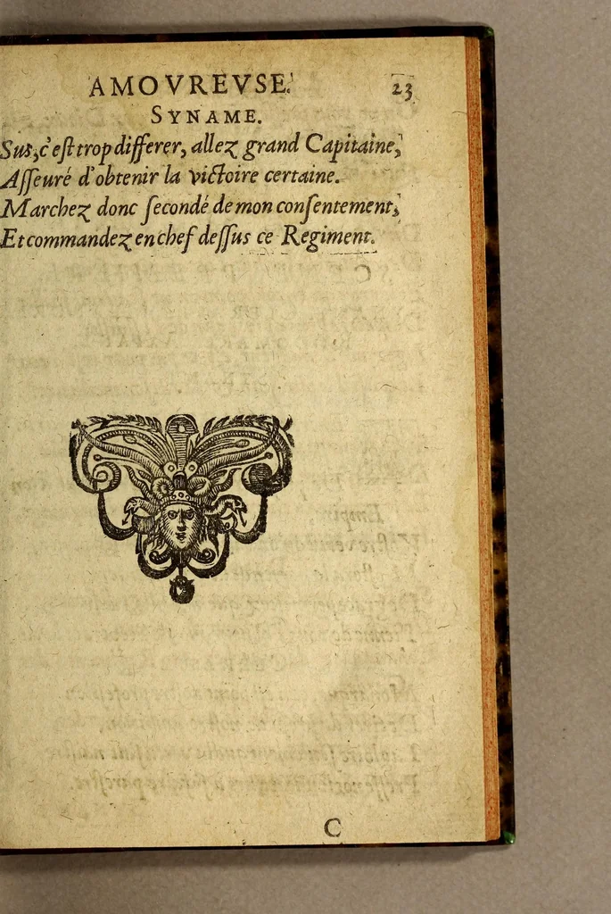 An illustration from L'Indienne amoureuse, ou l'heureux naufrage. : Tragi-comedie., 1636, leaf 39