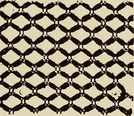 An illustration from L'Industrie des tulles & dentelles mécaniques dans Le Pas-de-Calais, 1815-1900, 1900, leaf 144