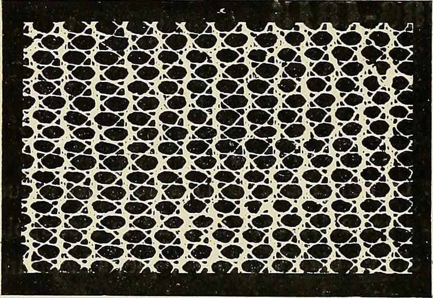 An illustration from L'Industrie des tulles & dentelles mécaniques dans Le Pas-de-Calais, 1815-1900, 1900, leaf 27