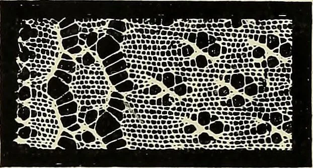 An illustration from L'Industrie des tulles & dentelles mécaniques dans Le Pas-de-Calais, 1815-1900, 1900, leaf 29