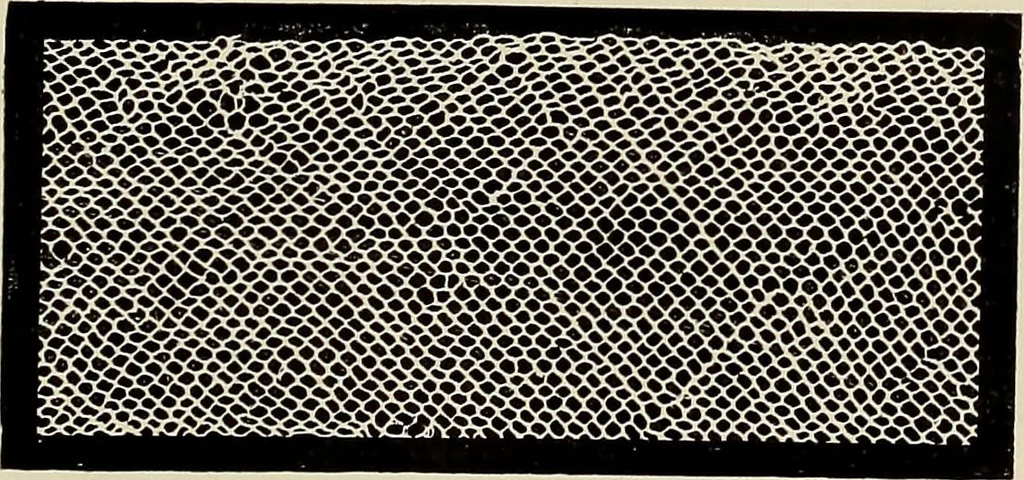 An illustration from L'Industrie des tulles & dentelles mécaniques dans Le Pas-de-Calais, 1815-1900, 1900, leaf 34