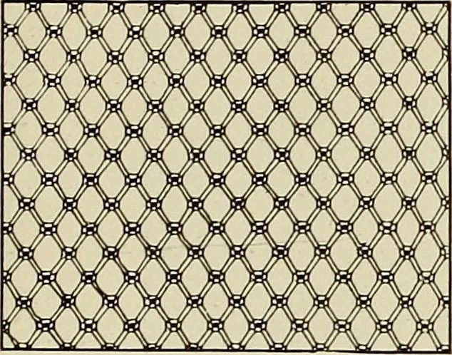 An illustration from L'Industrie des tulles & dentelles mécaniques dans Le Pas-de-Calais, 1815-1900, 1900, leaf 366