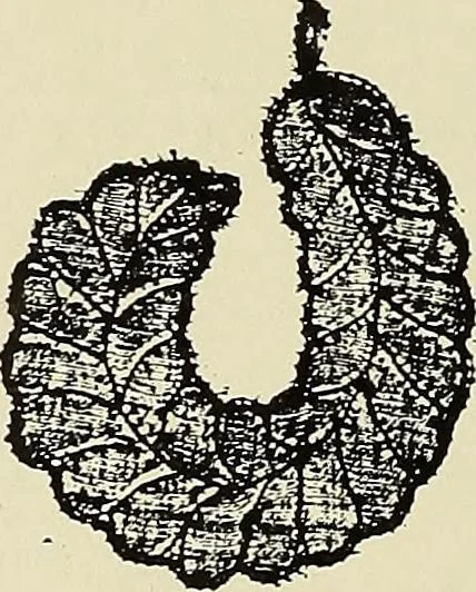An illustration from L'Industrie des tulles & dentelles mécaniques dans Le Pas-de-Calais, 1815-1900, 1900, leaf 381