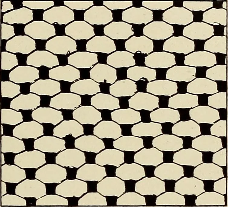 An illustration from L'Industrie des tulles & dentelles mécaniques dans Le Pas-de-Calais, 1815-1900, 1900, leaf 384