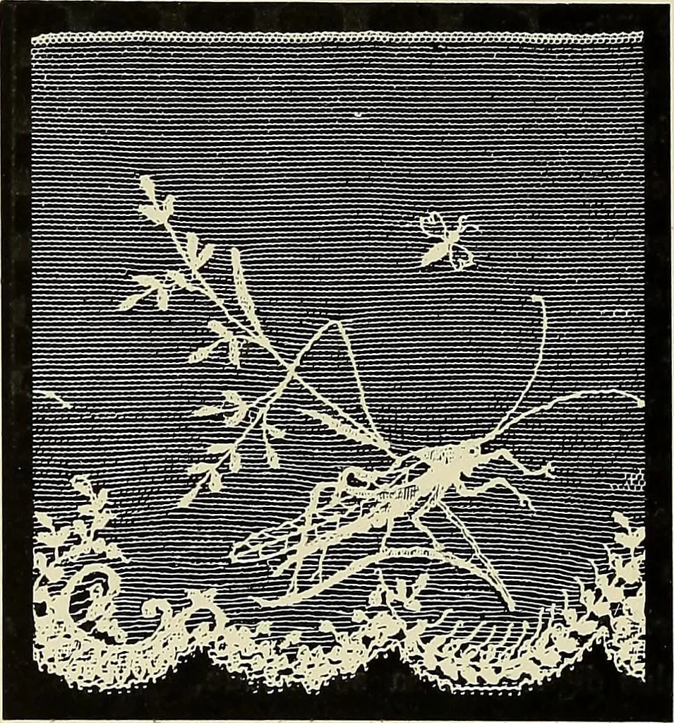 An illustration from L'Industrie des tulles & dentelles mécaniques dans Le Pas-de-Calais, 1815-1900, 1900, leaf 385