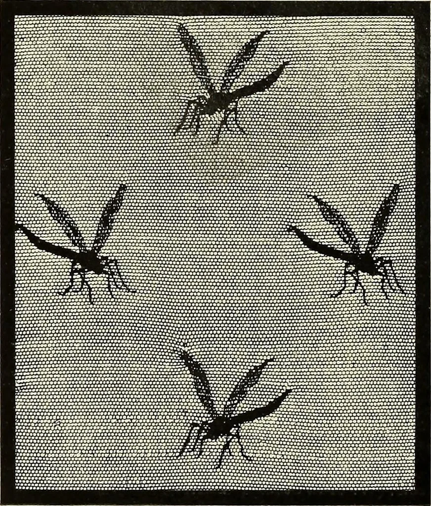 An illustration from L'Industrie des tulles & dentelles mécaniques dans Le Pas-de-Calais, 1815-1900, 1900, leaf 401