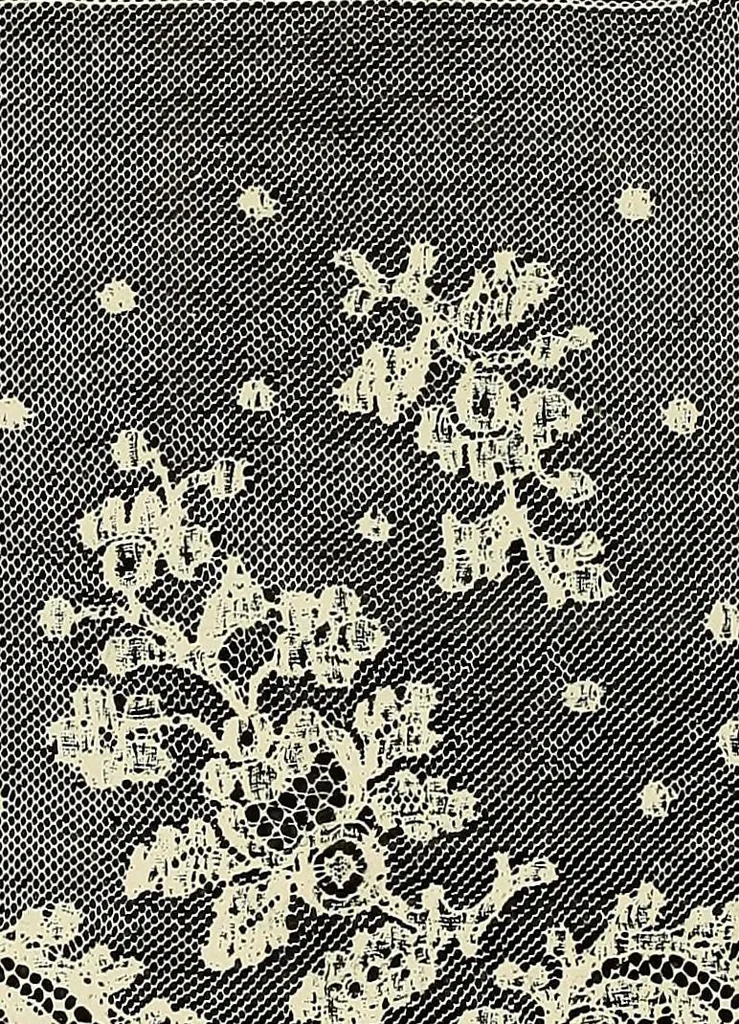 An illustration from L'Industrie des tulles & dentelles mécaniques dans Le Pas-de-Calais, 1815-1900, 1900, leaf 501