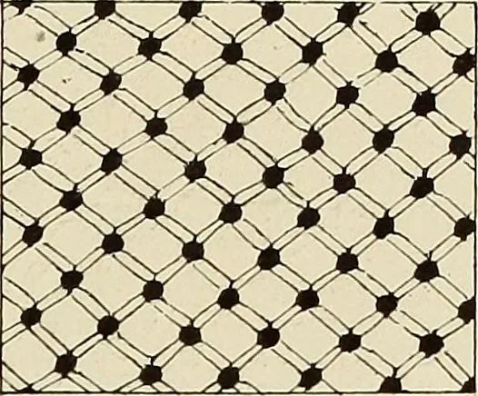 An illustration from L'Industrie des tulles & dentelles mécaniques dans Le Pas-de-Calais, 1815-1900, 1900, leaf 514