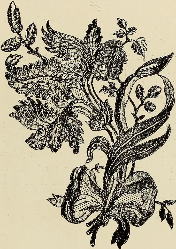 An illustration from L'Industrie des tulles & dentelles mécaniques dans Le Pas-de-Calais, 1815-1900, 1900, leaf 570