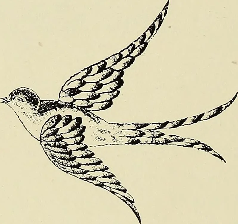 An illustration from L'Industrie des tulles & dentelles mécaniques dans Le Pas-de-Calais, 1815-1900, 1900, leaf 571