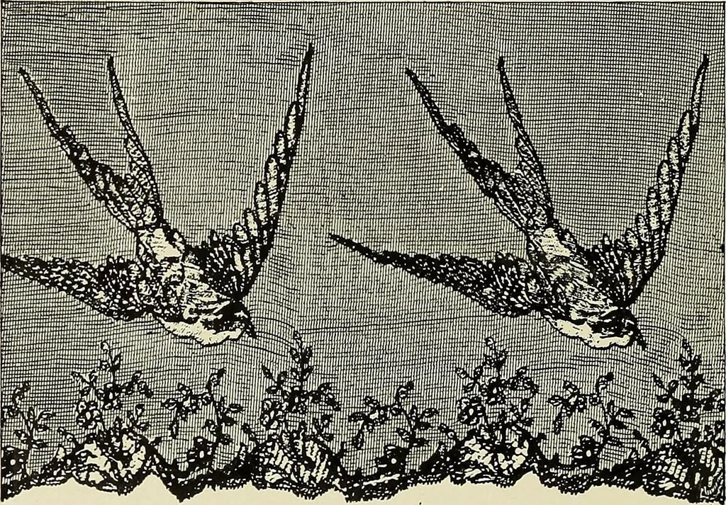An illustration from L'Industrie des tulles & dentelles mécaniques dans Le Pas-de-Calais, 1815-1900, 1900, leaf 581