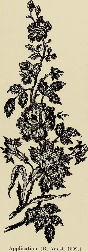 An illustration from L'Industrie des tulles & dentelles mécaniques dans Le Pas-de-Calais, 1815-1900, 1900, leaf 588