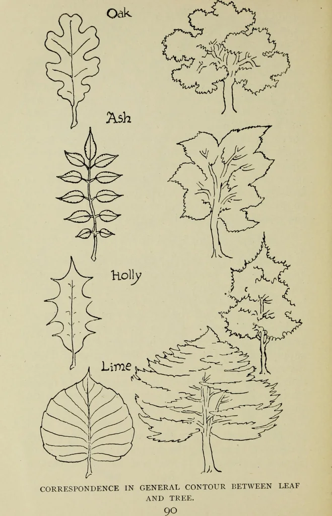 An illustration from Line & form, 1902, leaf 109
