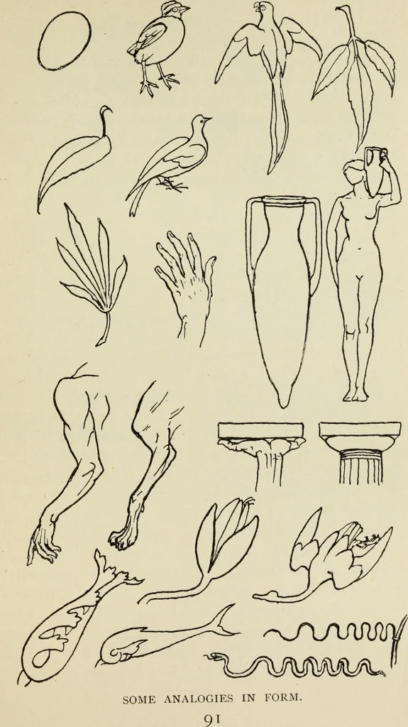An illustration from Line & form, 1902, leaf 110