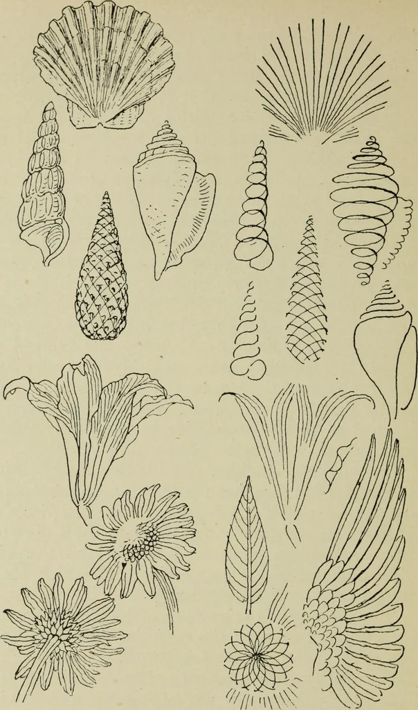 An illustration from Line & form, 1902, leaf 159