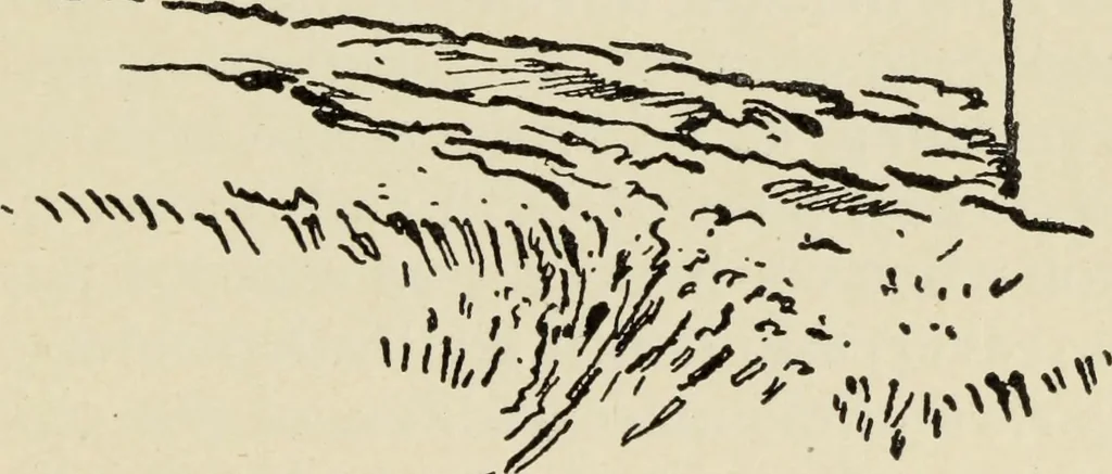 An illustration from Line & form, 1902, leaf 168