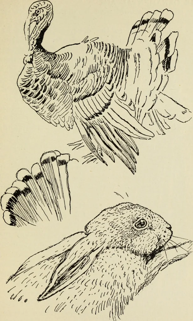 An illustration from Line & form, 1902, leaf 230