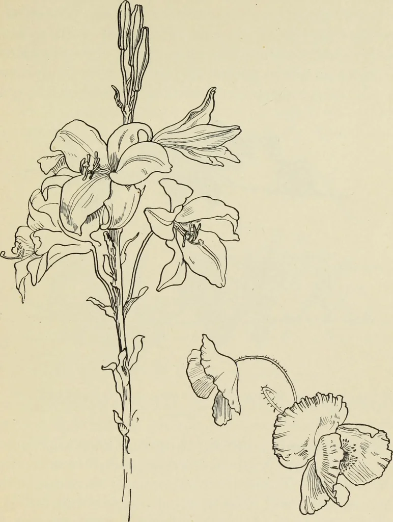 An illustration from Line & form, 1902, leaf 32
