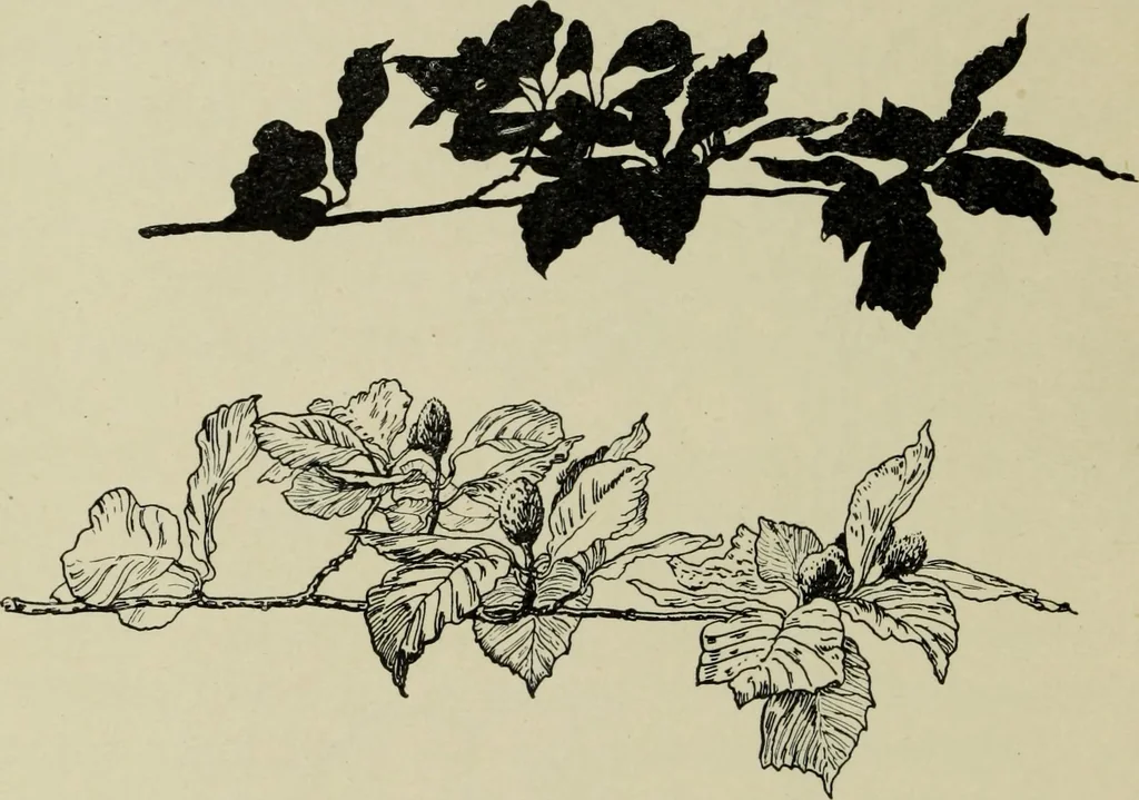 An illustration from Line & form, 1902, leaf 33