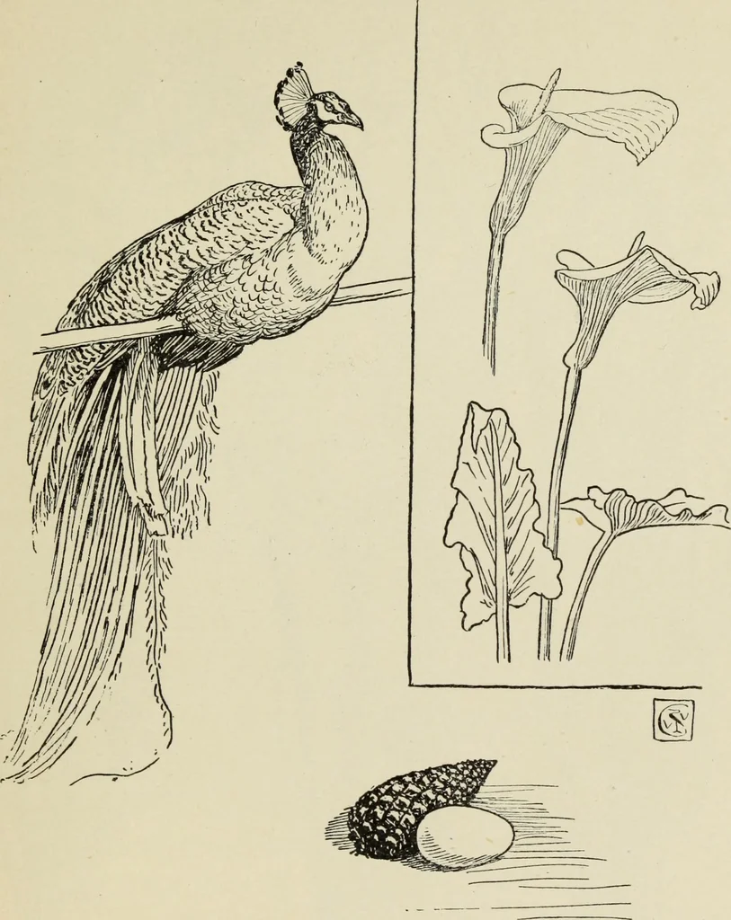 An illustration from Line & form, 1902, leaf 38