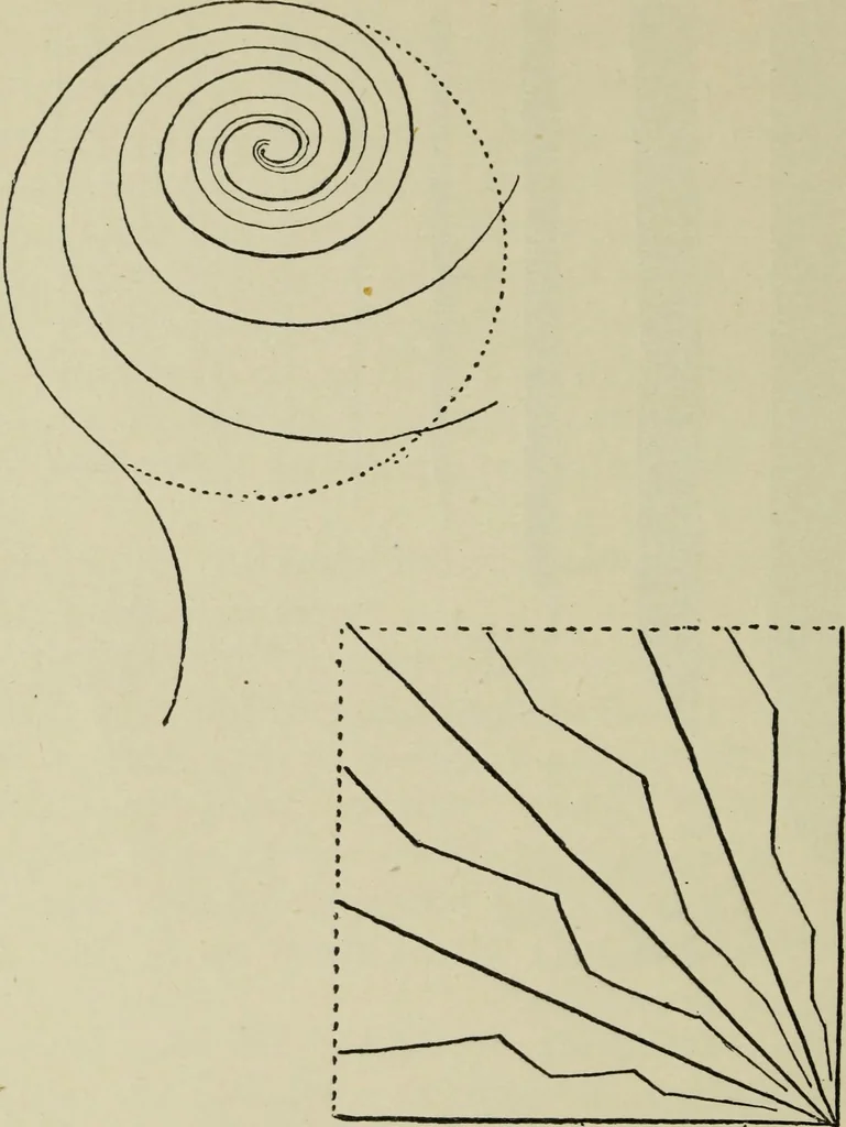 An illustration from Line & form, 1902, leaf 45