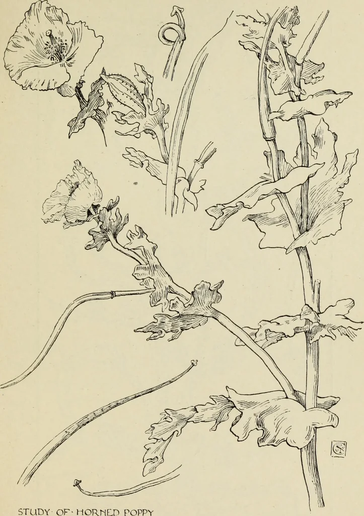 An illustration from Line & form, 1902, leaf 52