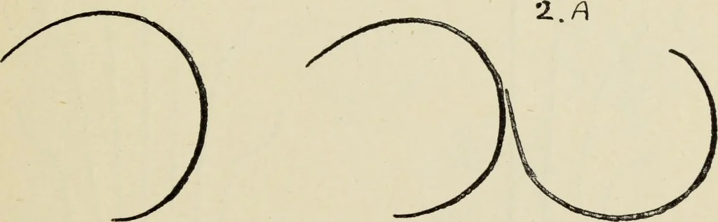 An illustration from Line & form, 1902, leaf 54