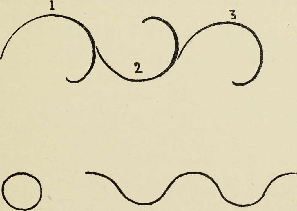 An illustration from Line & form, 1902, leaf 64