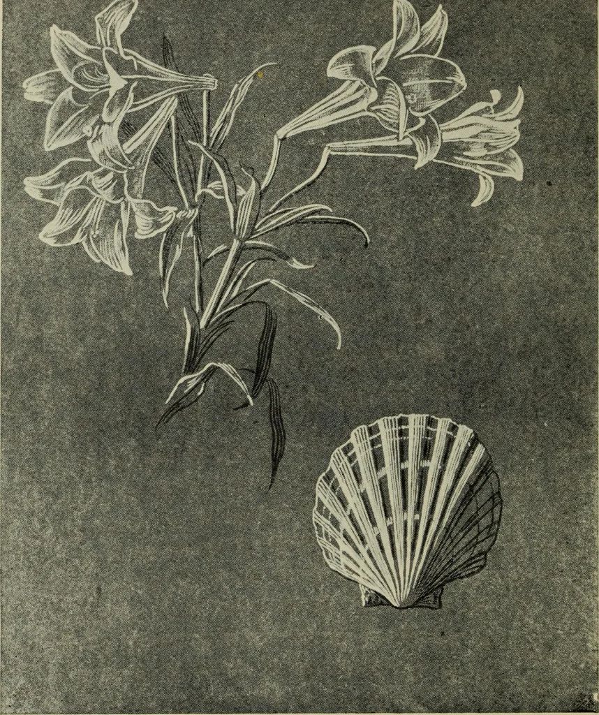 An illustration from Line & form, 1902, leaf 67
