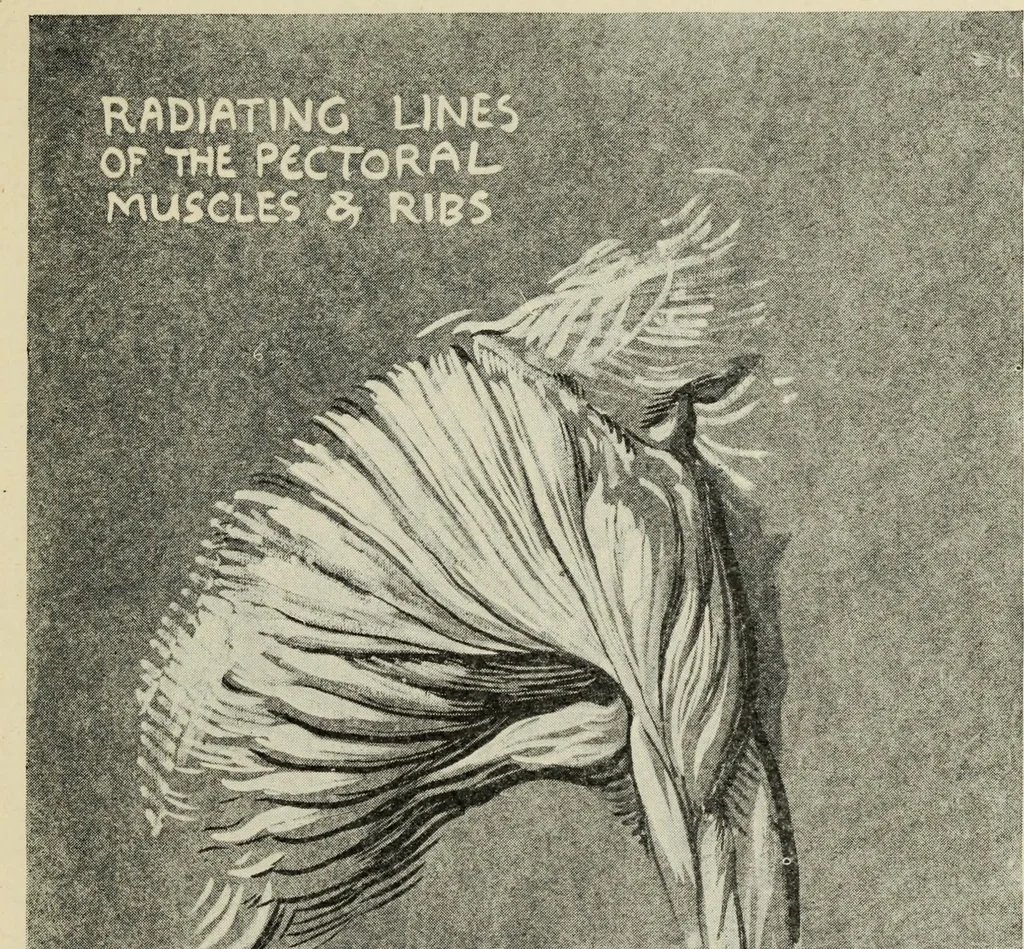 An illustration from Line & form, 1902, leaf 68