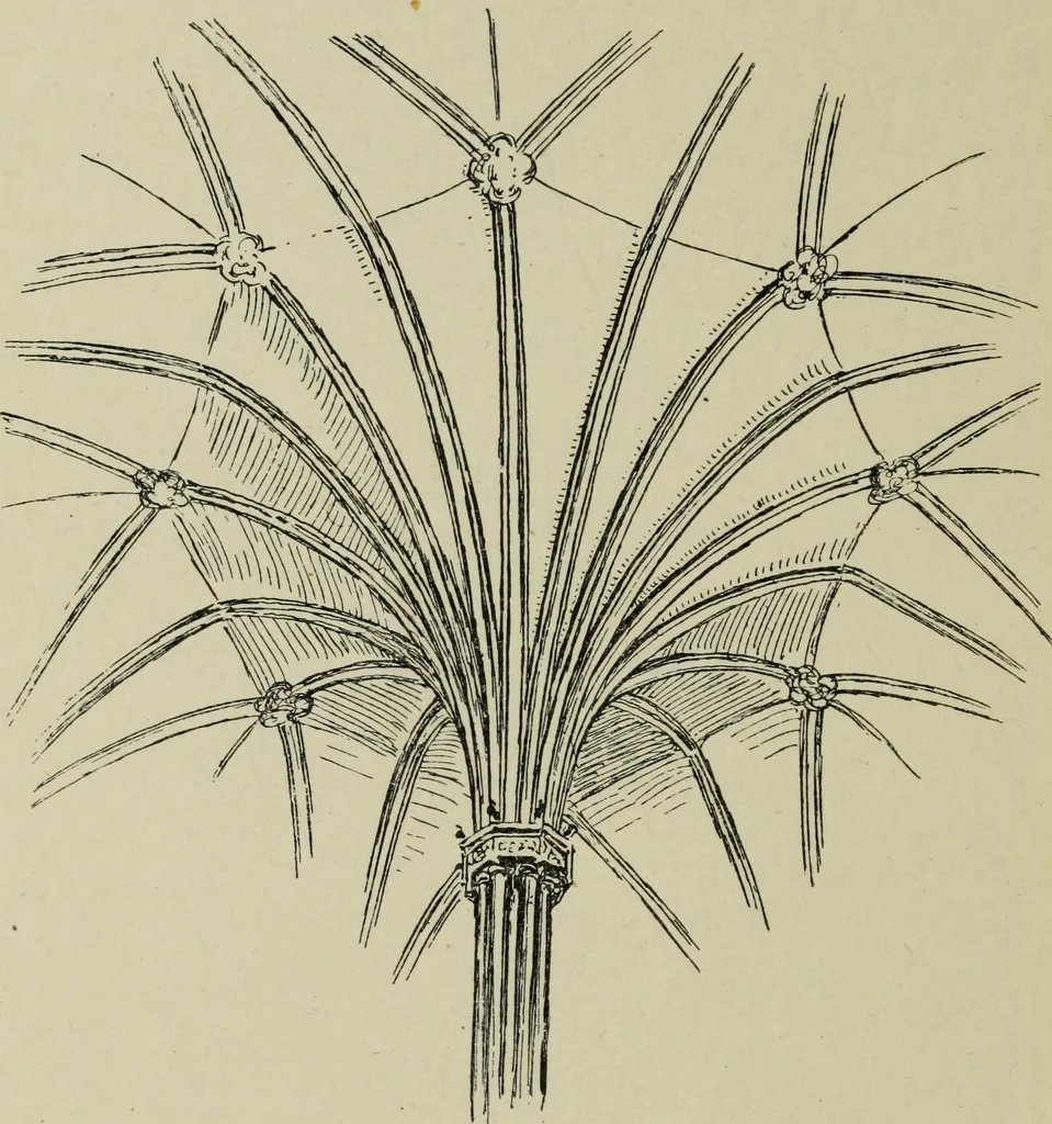 An illustration from Line & form, 1902, leaf 69