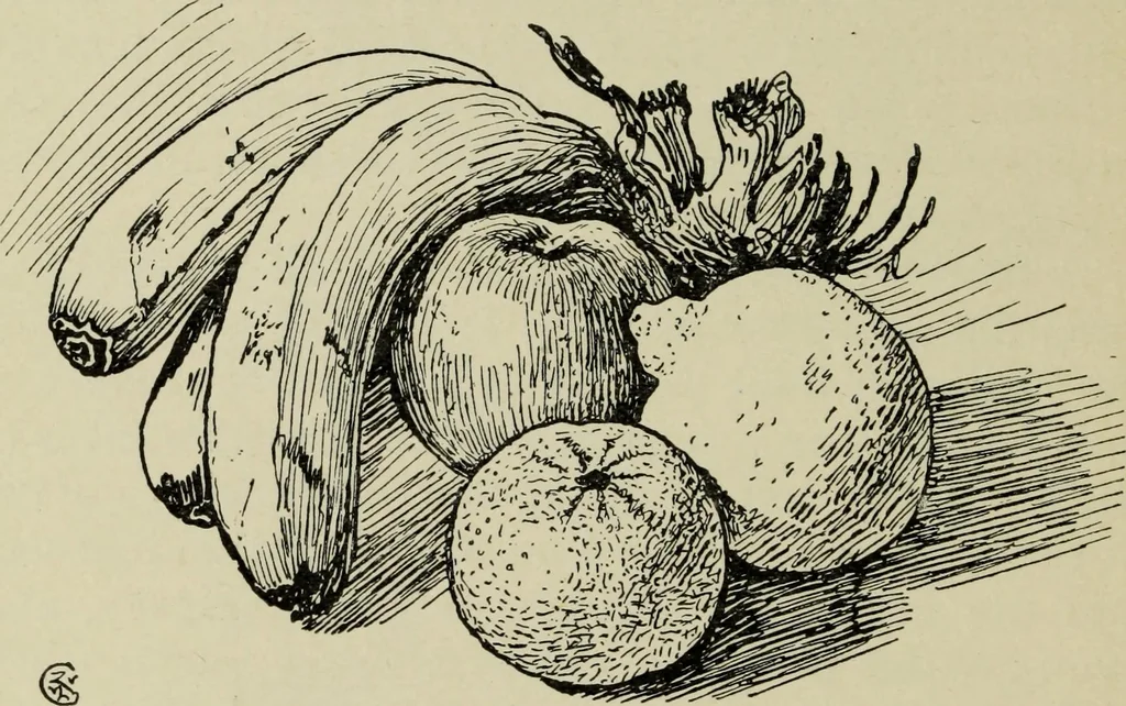 An illustration from Line & form, 1902, leaf 73