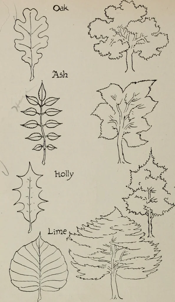 An illustration from Line & form, 1921, leaf 109