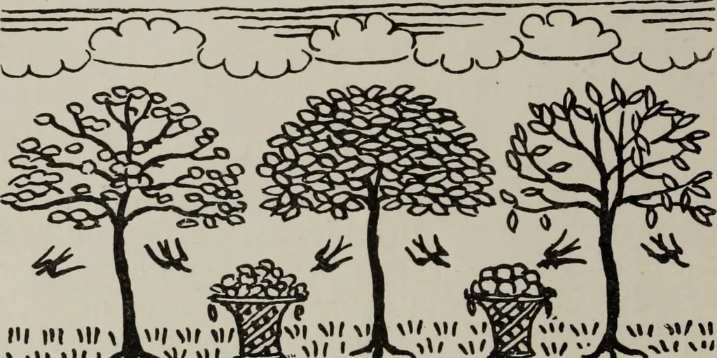 An illustration from Line & form, 1921, leaf 115