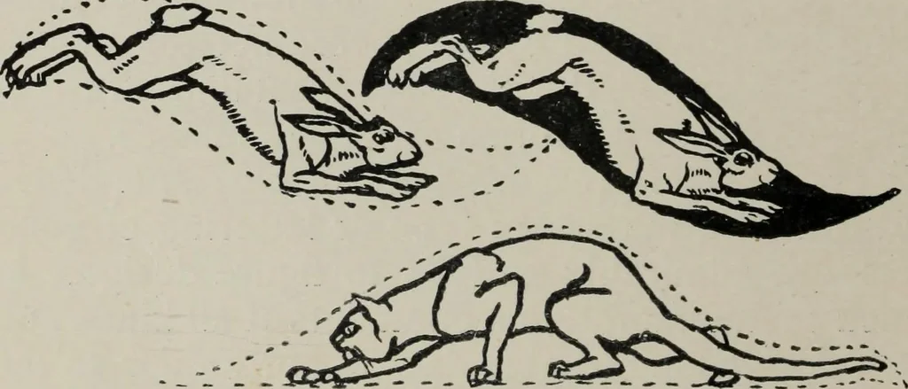 An illustration from Line & form, 1921, leaf 123