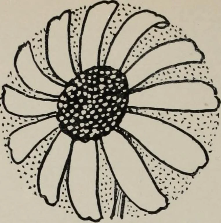 An illustration from Line & form, 1921, leaf 131