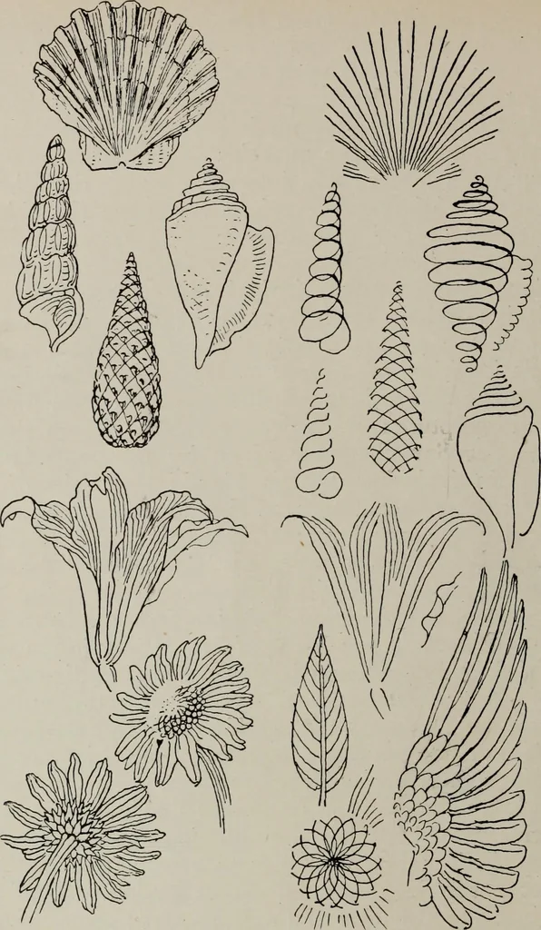 An illustration from Line & form, 1921, leaf 159