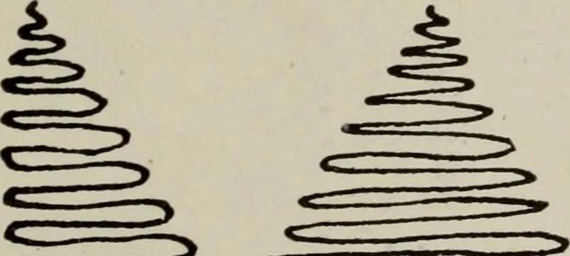 An illustration from Line & form, 1921, leaf 196