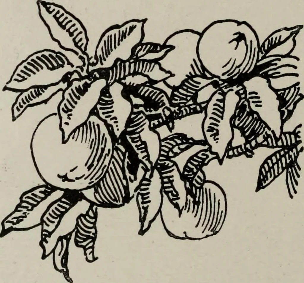 An illustration from Line & form, 1921, leaf 197